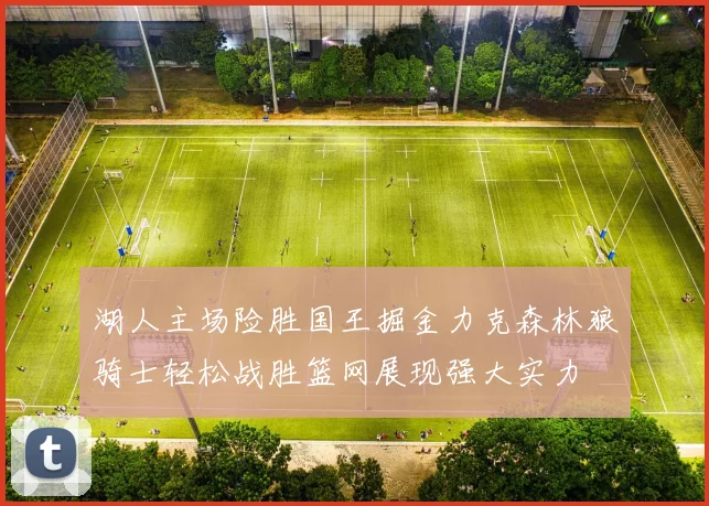 湖人主场险胜国王掘金力克森林狼骑士轻松战胜篮网展现强大实力